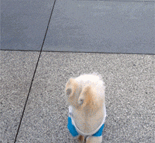31c800047351ac88e534.gif 31c800047351ac88e534.gif