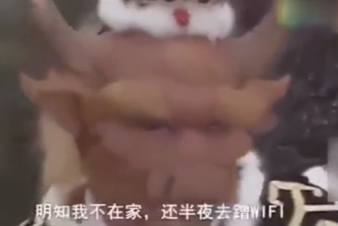 图片7.png 图片7.png