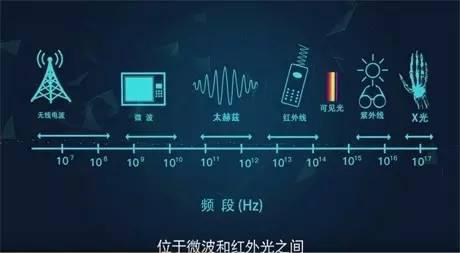 图片11.png 图片11.png