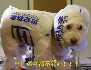 微信图片_20170828105729.jpg 微信图片_20170828105729.jpg